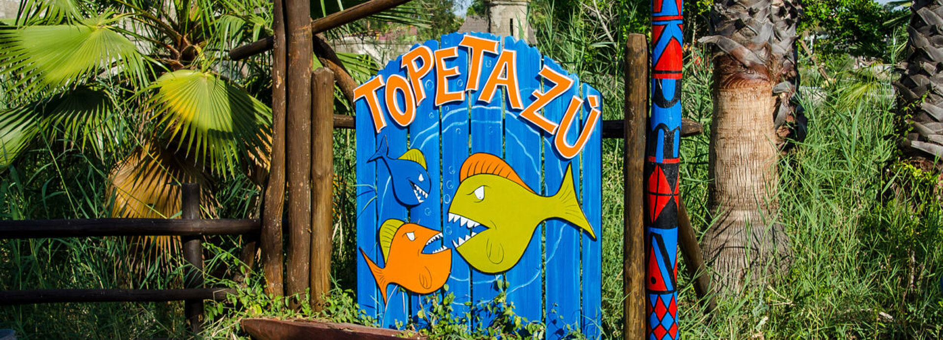 Topetazú